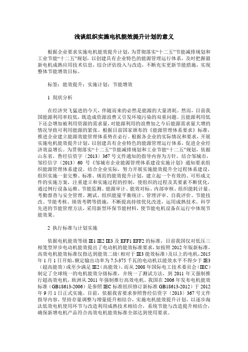 浅谈组织实施电机能效提升计划的意义