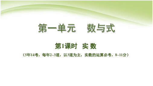 2020中考数学一轮基础考点复习课件第1课时  实 数