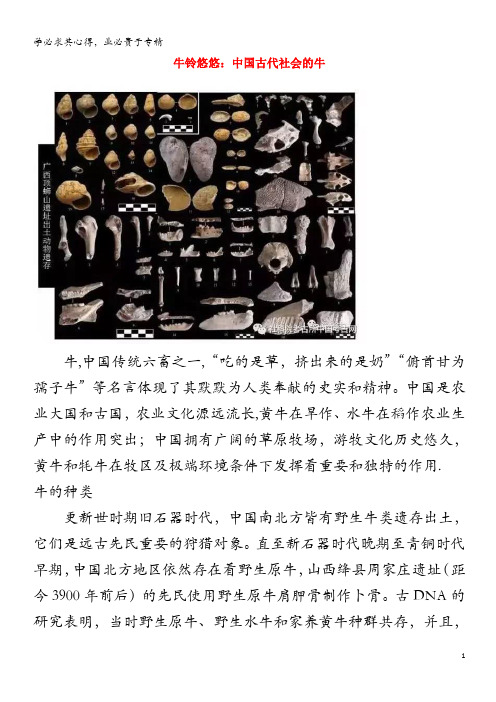 高中历史之历史百科 牛铃悠悠：中国古代社会的牛素材