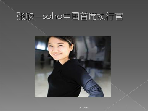 张欣-soho中国首席执行官