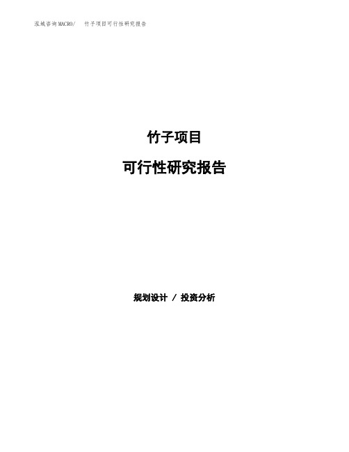 竹子项目可行性研究报告模板及范文