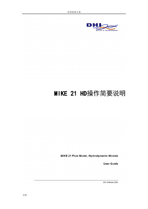 mike21 操作实例---矩形网格