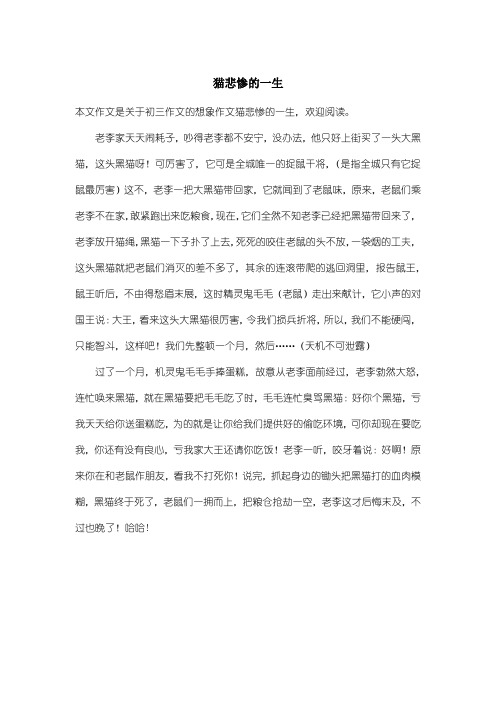 初中初三作文想象作文：猫悲惨的一生