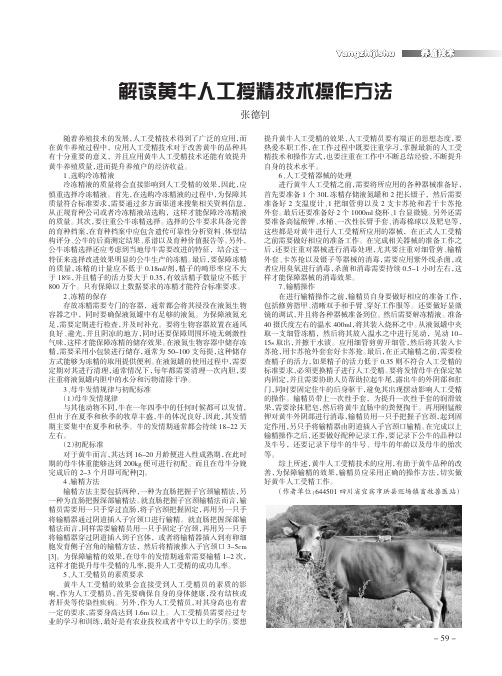 解读黄牛人工授精技术操作方法