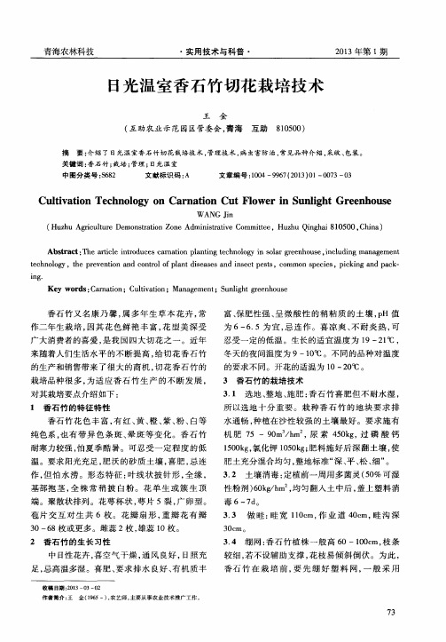 日光温室香石竹切花栽培技术