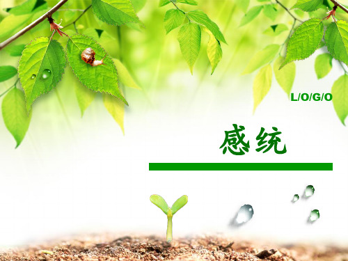 感统 ppt课件