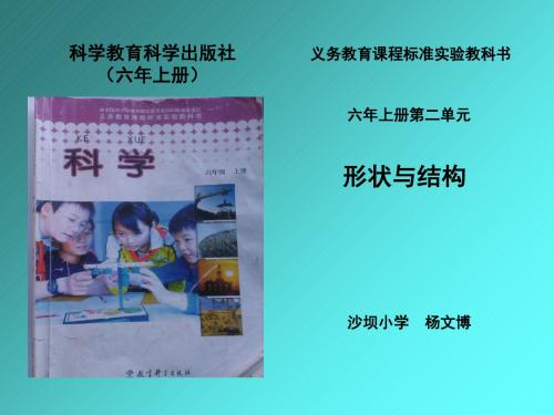 六年级上册科学研课标说教材—杨文博