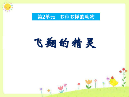 《飞翔的精灵》多种多样的动物教学ppt课件(优选)2