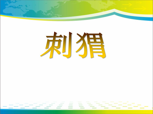 《刺猬》ppt【完美版课件】