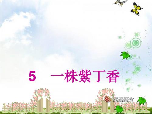 人教版二年级上册语文5一株紫丁香ppt