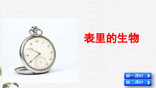 部编人教版六年级下册语文《表里的生物》PPT课件
