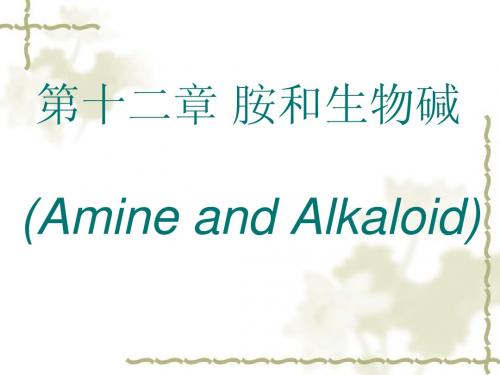 第十二章 胺和生物碱