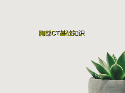 胸部CT基础知识共41页文档