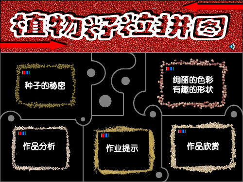 植物籽粒拼图[1]_附件