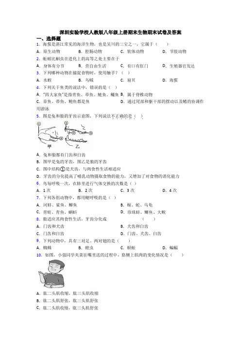 深圳实验学校人教版八年级上册期末生物期末试卷及答案