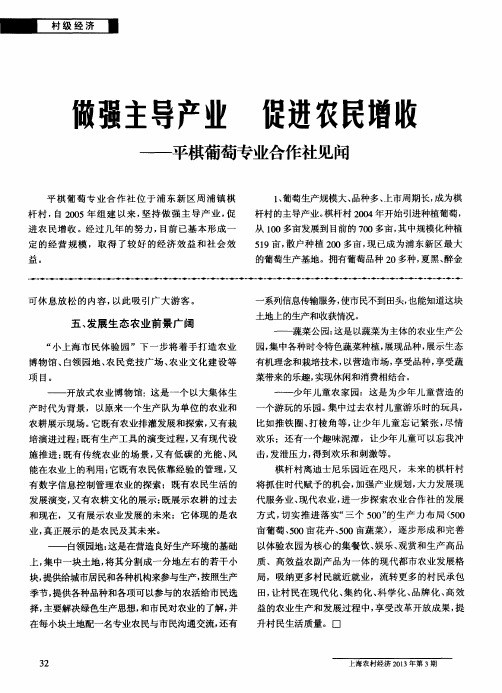 做强主导产业 促进农民增收——平棋葡萄专业合作社见闻