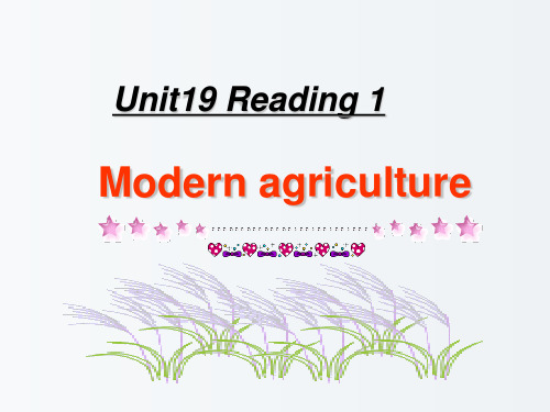 高一英语 Unit19 Reading 人教版