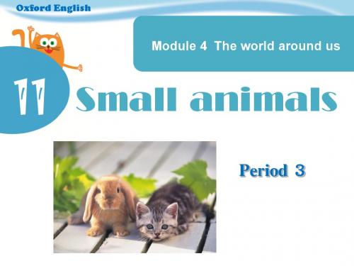 牛津英语三年级上unit11Small animals Period 3