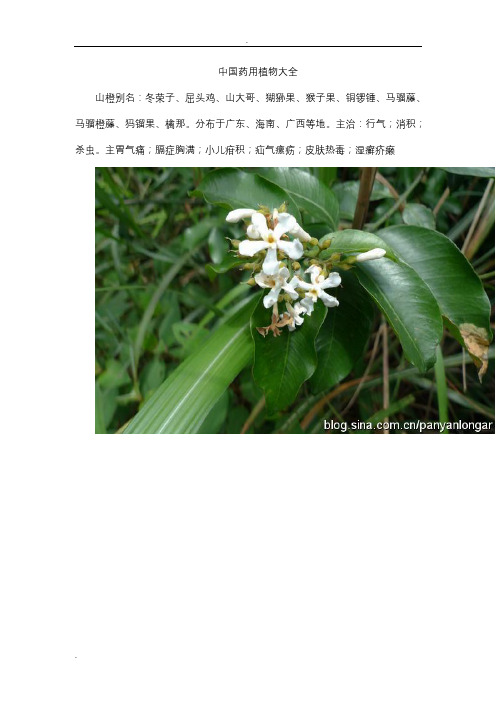 中国药用植物大全