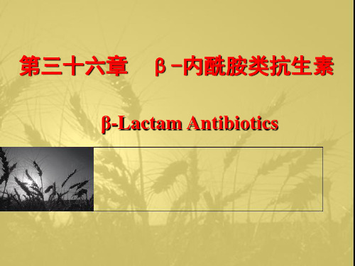 家庭常用抗生素-青霉素,头孢常识