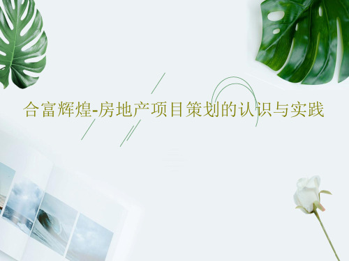 合富辉煌-房地产项目策划的认识与实践41页文档