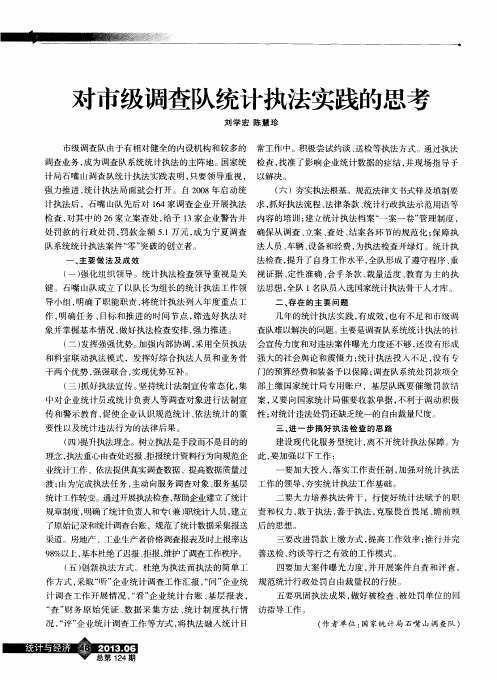 对市级调查队统计执法实践的思考