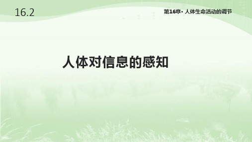 苏科版八年级生物上册16.2《人体对信息的感知》课件