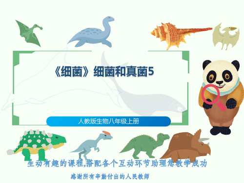 人教版生物八年级上册《细菌》细菌和真菌5