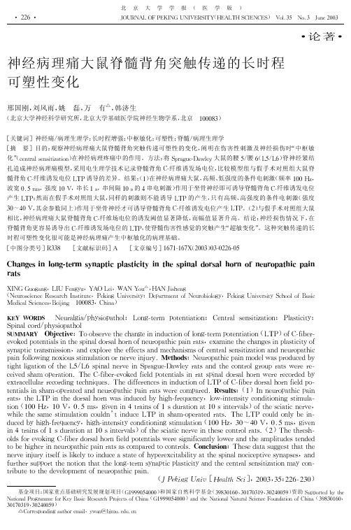 神经病理痛大鼠脊髓背角突触传递的长时程 可塑性变化
