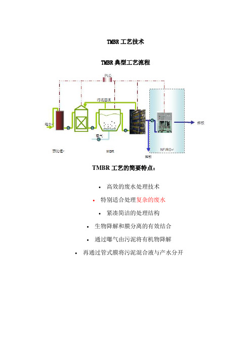 TMBR工艺技术  管式MBR