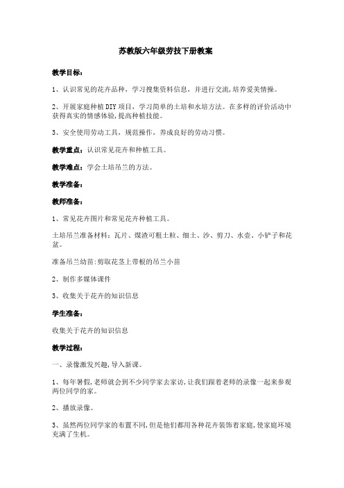 苏教版六年级劳技下册教案