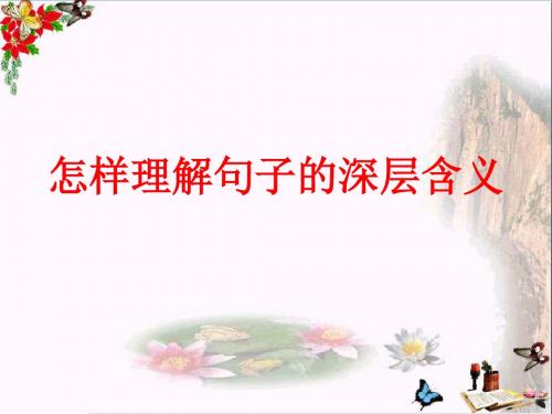 中考复习怎样理解句子的深层含义PPT优秀课件下载(14张)