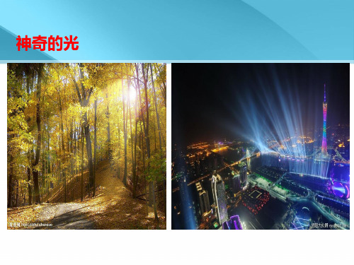 4.1光的反射(第一课时).PPT课件