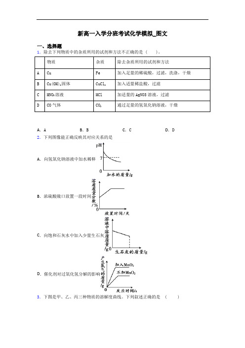 新高一入学分班考试化学模拟_图文