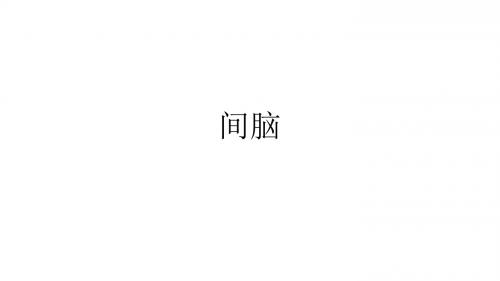 间脑