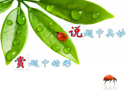 说题比赛--导数 课题