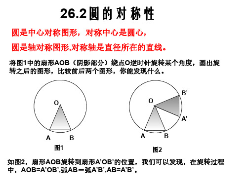九年级数学圆的对称性2(1)