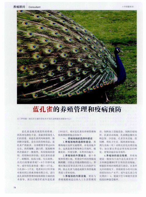 蓝孔雀的养殖管理和疫病预防