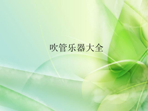 吹管乐器大全