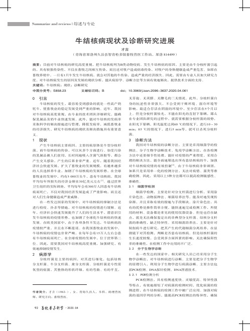 牛结核病现状及诊断研究进展
