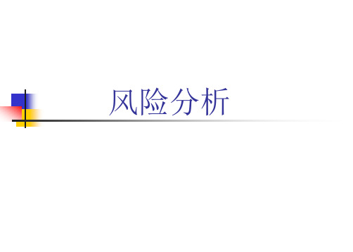 风险分析