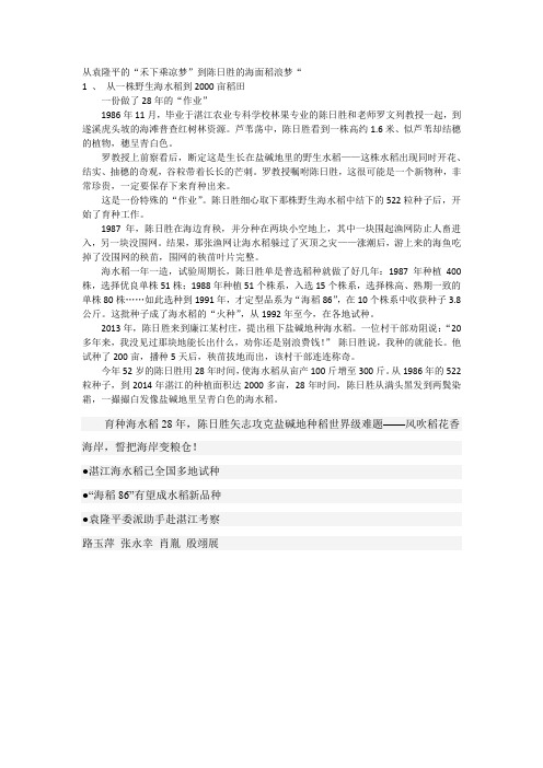 从袁隆平的“禾下乘凉梦”到陈日胜的海面稻浪梦