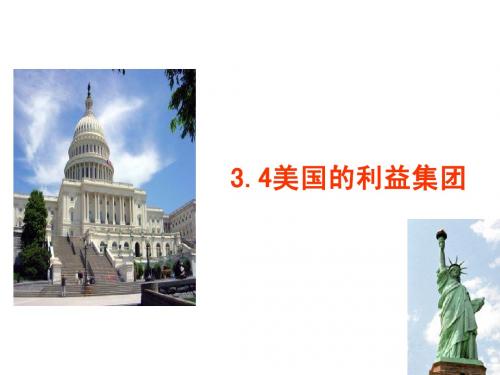3.4美国的利益集团