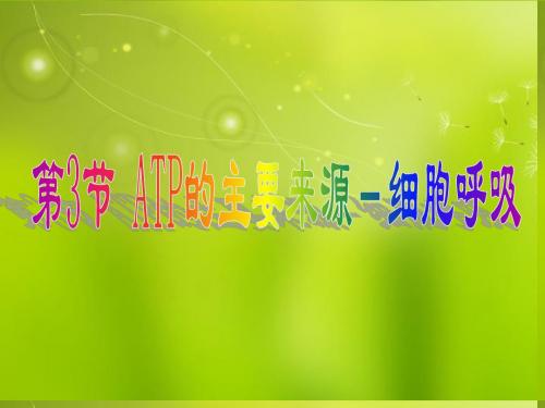 高中生物《第五章 第三节 ATP的主要来源 细胞呼吸》课件2 新人教版必修1