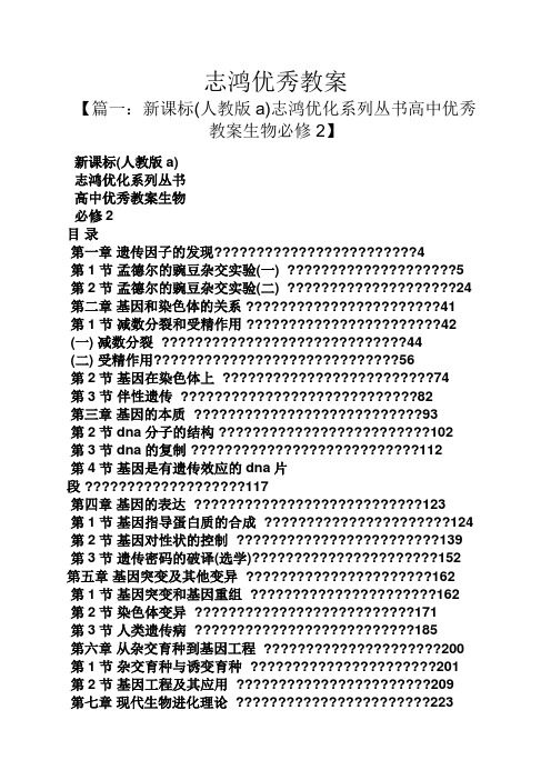 志鸿优秀教案