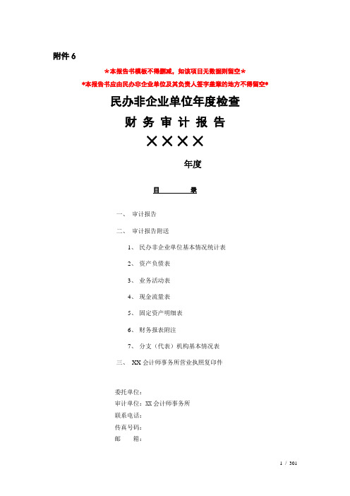 民办非企业单位审计报告模板