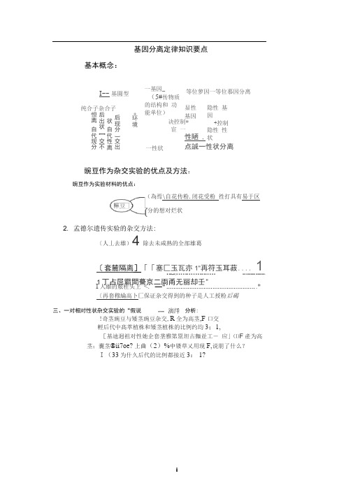 基因分离定律知识要点