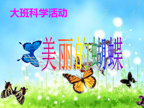 幼儿园大班科学活动《美丽的蝴蝶》PPT课件