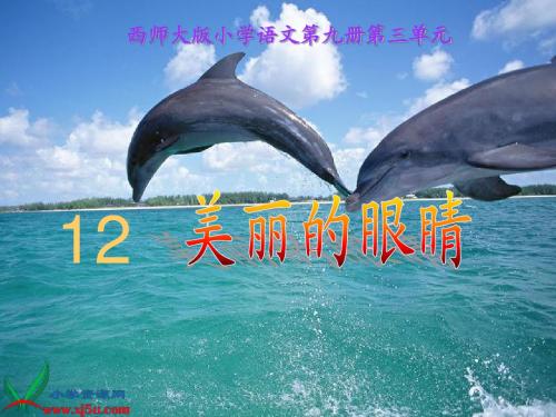 赛课《美丽的眼睛》