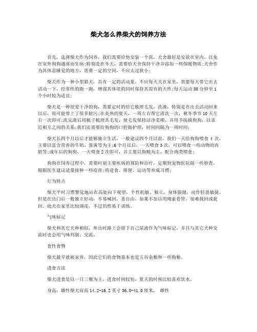 柴犬怎么养柴犬的饲养方法
